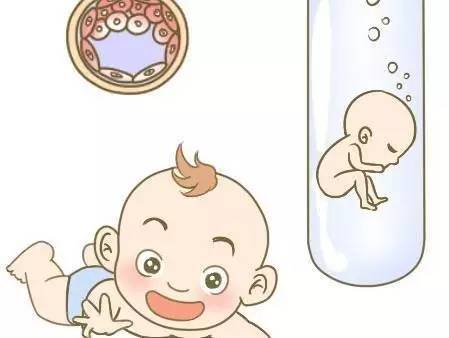 供卵试管代生